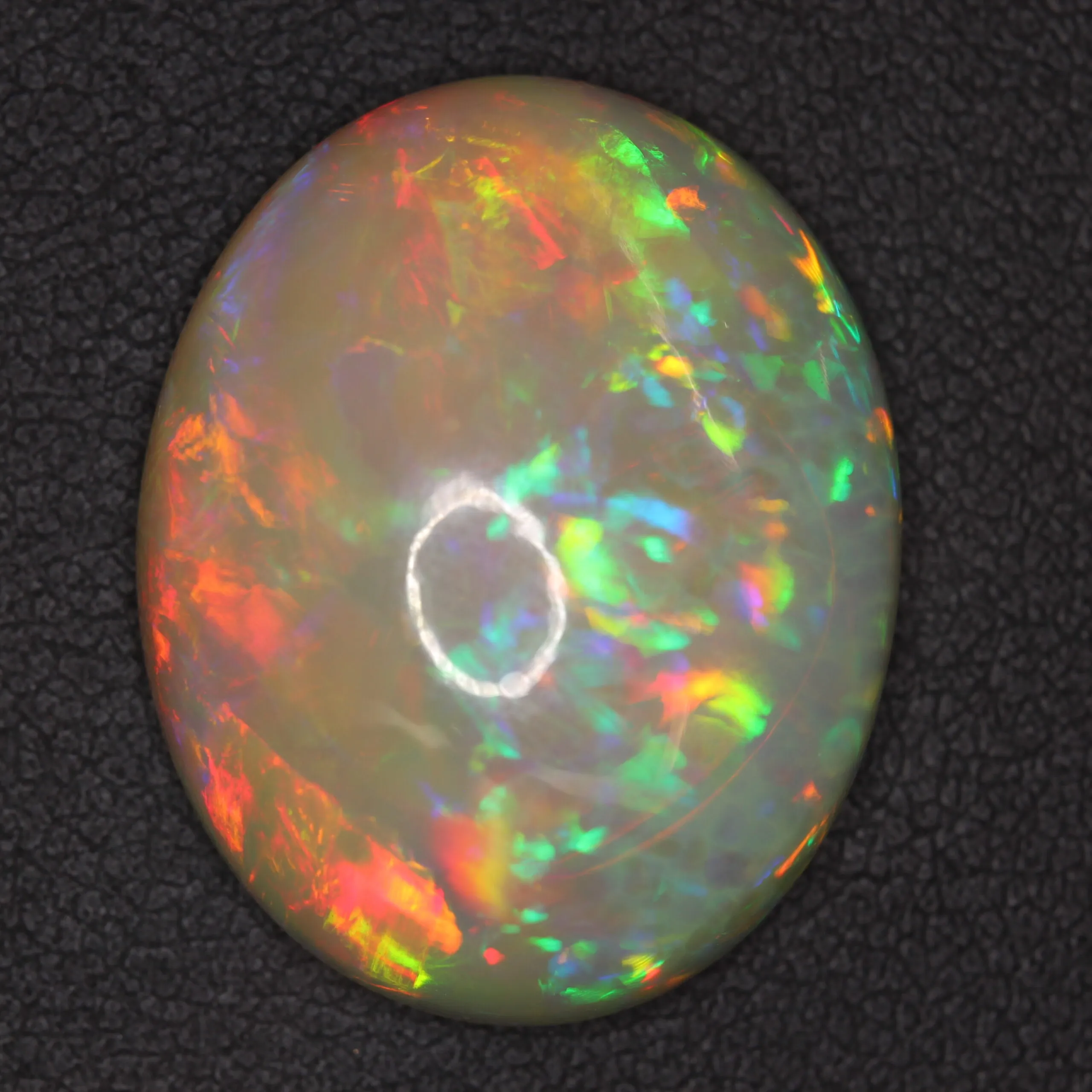 OPL364OV